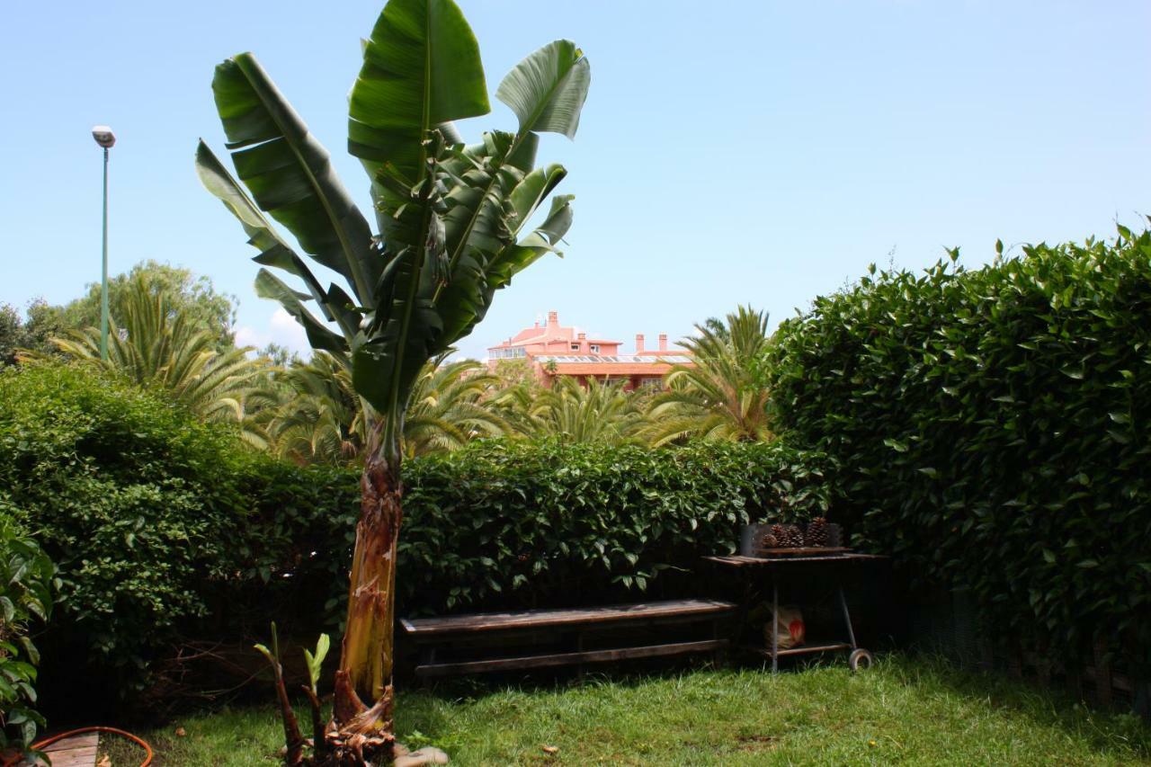 Apartamentos Con Jardin Y Pescina Puerto de la Cruz (Tenerife) Exterior photo